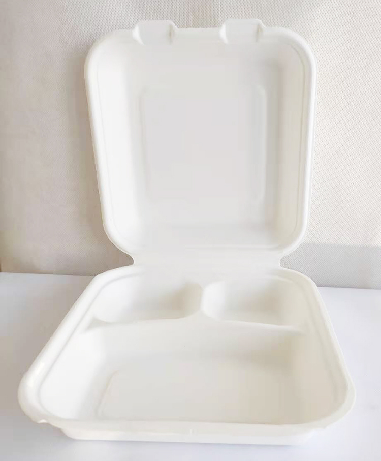 Biodegradable Table Ware Sugarcane Bagasse 3 Compoments Clamshell Food Containes