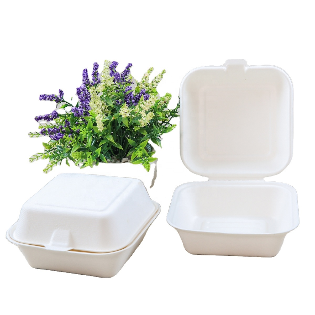 Disposable Biodegradable Compostable Food Container Hamburger Burger Box 2