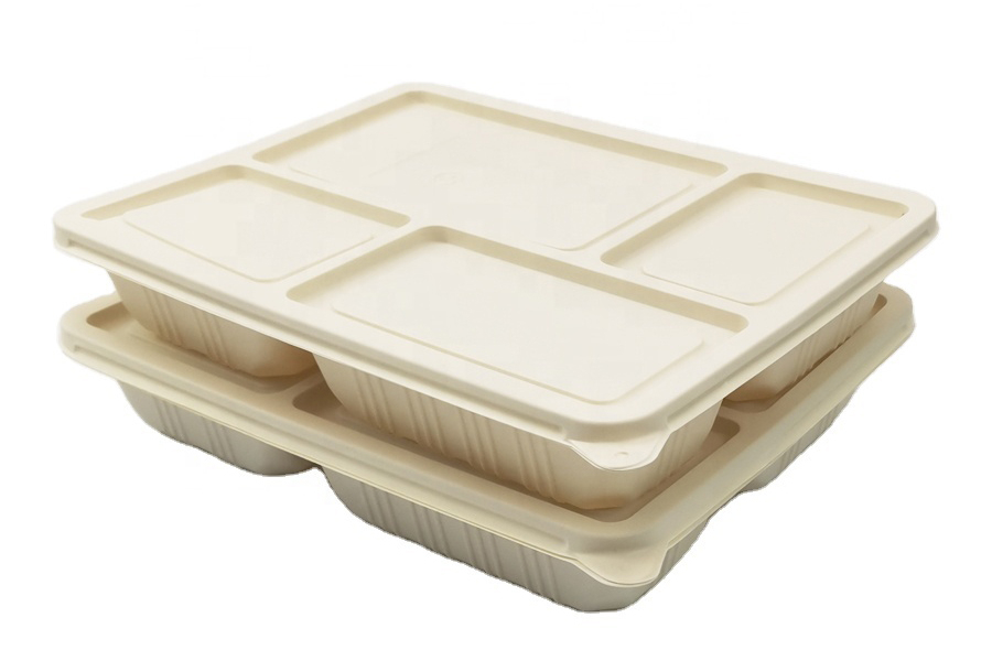 4 Department Section Divided Food Container