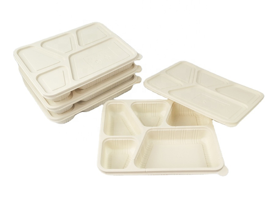 5 Department Section Divided Food Container