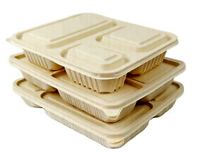 Disposable Biodegradable Compostable divided Food Container